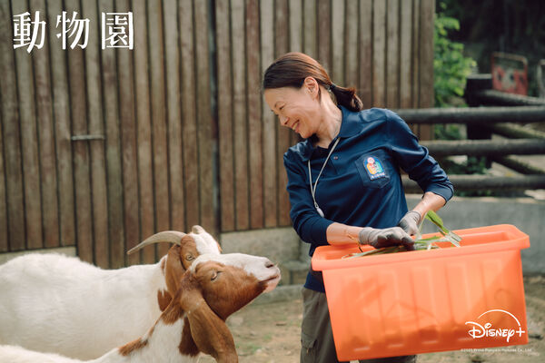 ▲《動物園》播出後受到許多網友喜愛。（圖／Disney+提供）