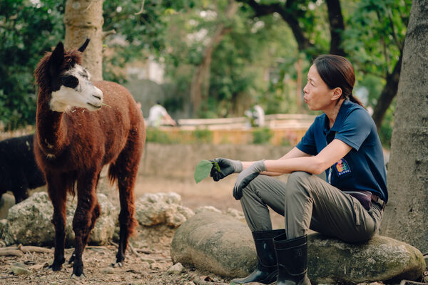 ▲《動物園》播出後受到許多網友喜愛。（圖／Disney+提供）