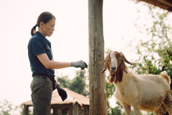 ▲《動物園》播出後受到許多網友喜愛。（圖／Disney+提供）