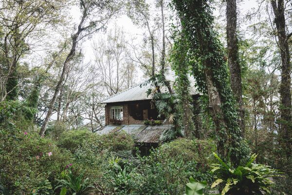 ▲▼新竹咖啡廳推薦！藏身在森林中的紅磚玻璃屋。（圖／部落客黑皮提供）