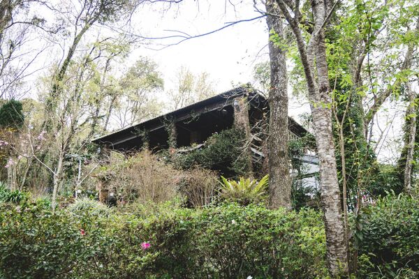 ▲▼新竹咖啡廳推薦！藏身在森林中的紅磚玻璃屋。（圖／部落客黑皮提供）