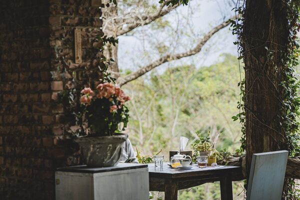 ▲▼新竹咖啡廳推薦！藏身在森林中的紅磚玻璃屋。（圖／部落客黑皮提供）