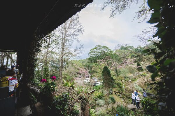 ▲▼新竹咖啡廳推薦！藏身在森林中的紅磚玻璃屋。（圖／部落客黑皮提供）
