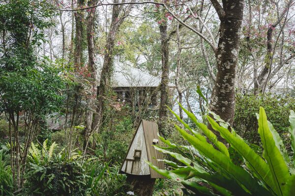 ▲▼新竹咖啡廳推薦！藏身在森林中的紅磚玻璃屋。（圖／部落客黑皮提供）