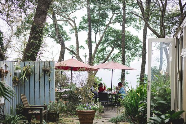 ▲▼新竹咖啡廳推薦！藏身在森林中的紅磚玻璃屋。（圖／部落客黑皮提供）