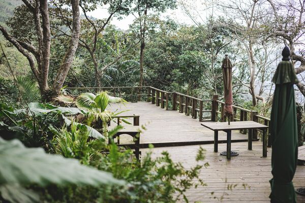 ▲▼新竹咖啡廳推薦！藏身在森林中的紅磚玻璃屋。（圖／部落客黑皮提供）