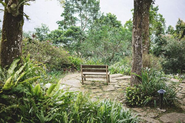 ▲▼新竹咖啡廳推薦！藏身在森林中的紅磚玻璃屋。（圖／部落客黑皮提供）