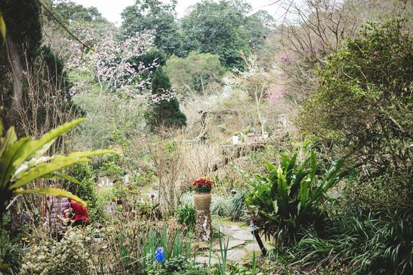 ▲▼新竹咖啡廳推薦！藏身在森林中的紅磚玻璃屋。（圖／部落客黑皮提供）