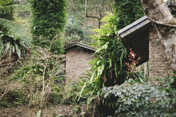 ▲▼新竹咖啡廳推薦！藏身在森林中的紅磚玻璃屋。（圖／部落客黑皮提供）