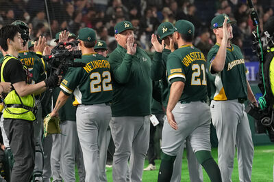 WBC澳洲隊表現「為何這麼強」　球迷曝最大優勢：我們也有過