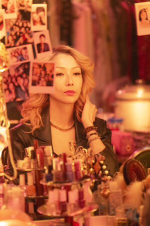 ▲《夜王》鄭秀文、黃子華。（圖／華映提供）