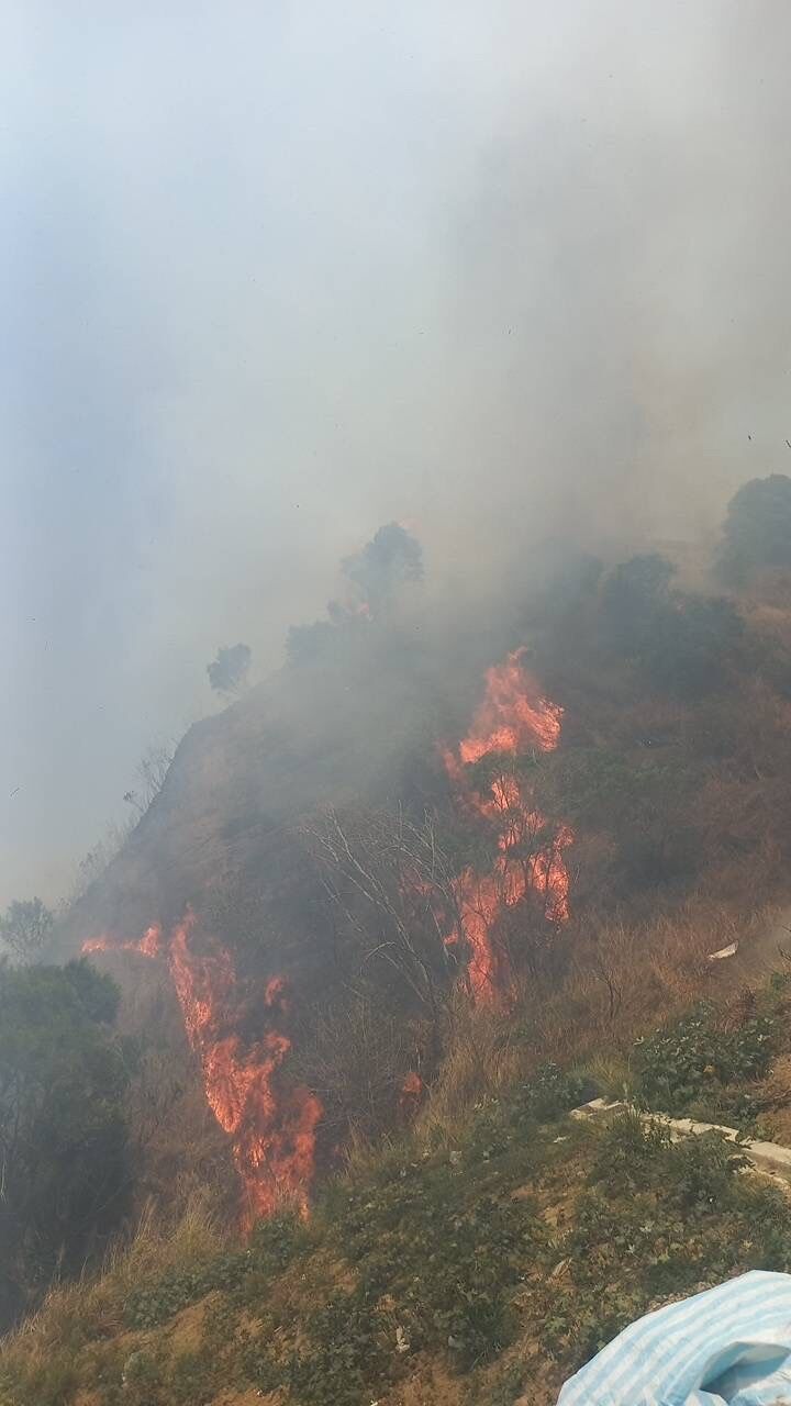 ▲▼大肚山公墓發生大火，黑鷹出動9架次投水18噸滅火。（圖／民眾提供，下同）