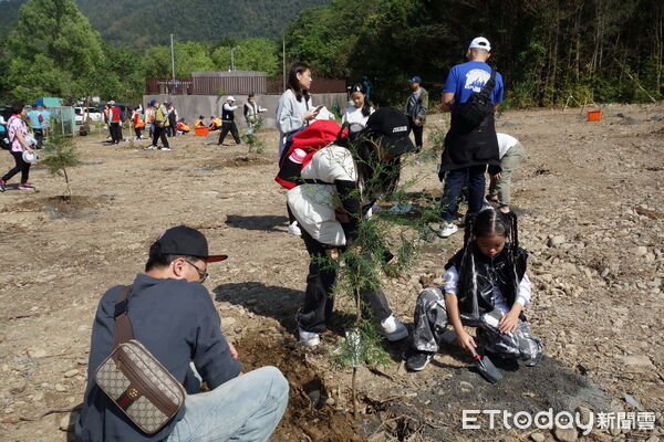 ▲迎臺灣爺蟬回家，中央地方齊種臺灣梭羅木。（圖／記者高堂堯翻攝）