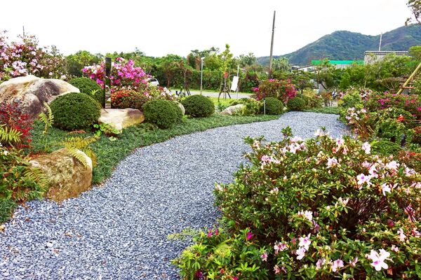 ▲萬金杜鵑週末推花牆彩繪、春日市集。（圖／新北市農業局提供）