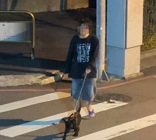 ▲▼台中男子瘋狂揮棒打小黑狗的頭，傳出陣陣淒厲慘叫聲。（圖／vivian_shio授權使用）