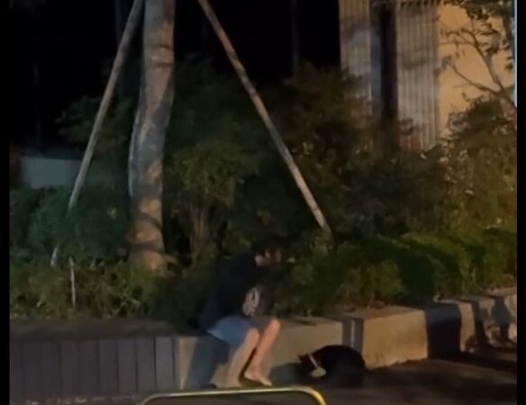 ▲▼台中男子瘋狂揮棒打小黑狗的頭，傳出陣陣淒厲慘叫聲。（圖／vivian_shio授權使用）