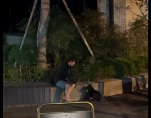 ▲▼台中男子瘋狂揮棒打小黑狗的頭，傳出陣陣淒厲慘叫聲。（圖／vivian_shio授權使用）