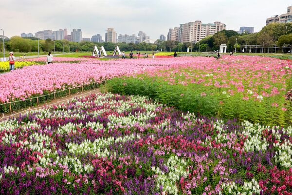 ▲古亭河濱公園種植24萬株花海，總面積達8,875平方公尺。（圖／翻攝自Facebook／戀戀水綠 臺北水利）