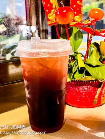 ▲▼桃園威天宮。（圖／史努比遊樂園授權提供）