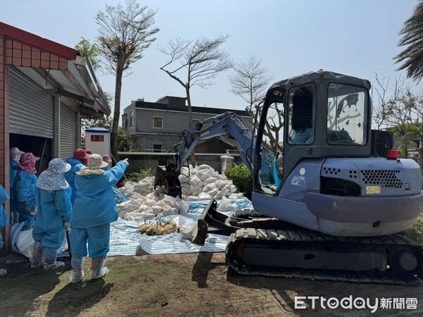 ▲防疫人員進入位於水林鄉禽場，進行撲殺與清場作業，全力阻斷禽流感病毒擴散。（圖／記者游瓊華翻攝）