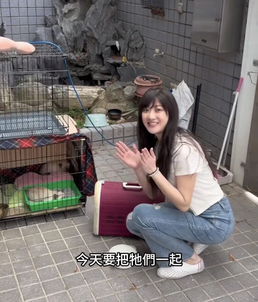 ▲▼  林逸欣道歉。（圖／翻攝林逸欣IG）