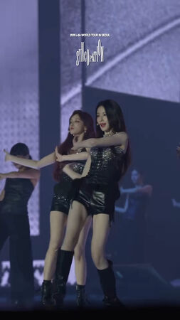 ▲▼直擊／舒華回台灣主場！i-dle齊喊：我是誰～　大巨蛋粉絲反應超狂。（圖／翻攝自i-dle官方IG）