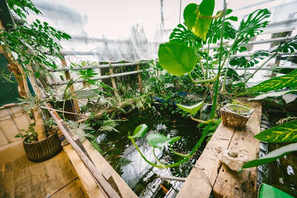 ▲▼龍潭最隱密樹屋窯烤麵包「郭爸龍潭樹屋」，一周只營業三天。（圖／部落客黑皮提供）