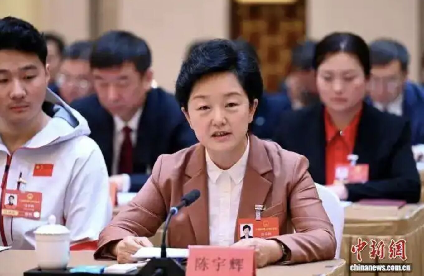 ▲全國人大代表、黑龍江省農業科學院黨組書記兼院長陳宇輝。（圖／翻攝中新網）
