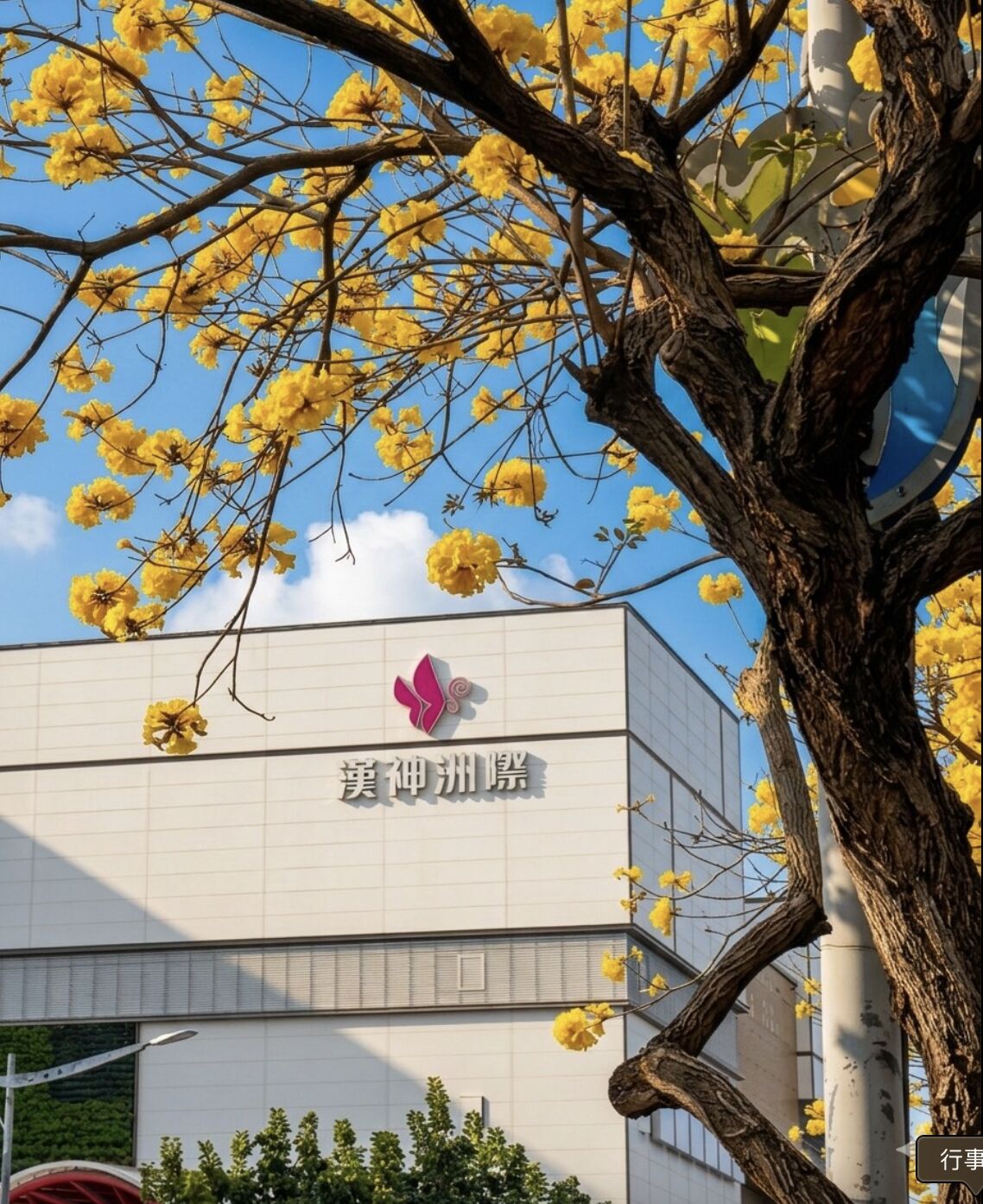 ▲漢神洲際購物廣場。（圖／翻攝漢神洲際購物廣場FB）