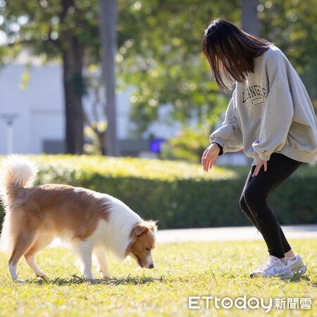 ▲。（圖／Threads@nabi_dancingbc提供，請勿隨意翻拍，以免侵權）