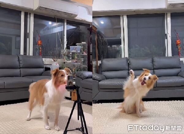 ▲。（圖／Threads@nabi_dancingbc提供，請勿隨意翻拍，以免侵權）