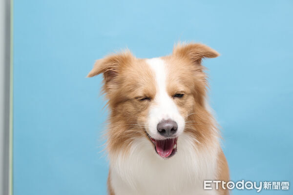 ▲。（圖／Threads@nabi_dancingbc提供，請勿隨意翻拍，以免侵權）