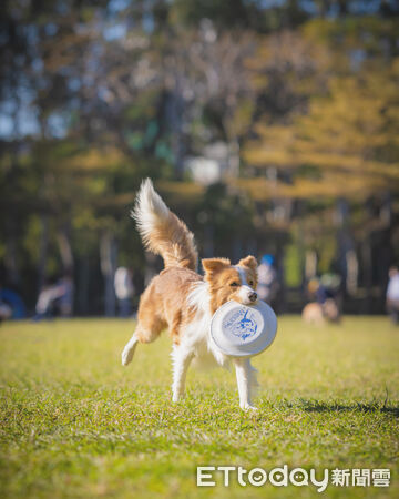 ▲。（圖／Threads@nabi_dancingbc提供，請勿隨意翻拍，以免侵權）