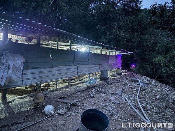 ▲▼花蓮分署前往台東縣池上鄉「雞世界商號」頒贈「友善黑熊夥伴」掛牌。（圖／花蓮分署提供，下同）