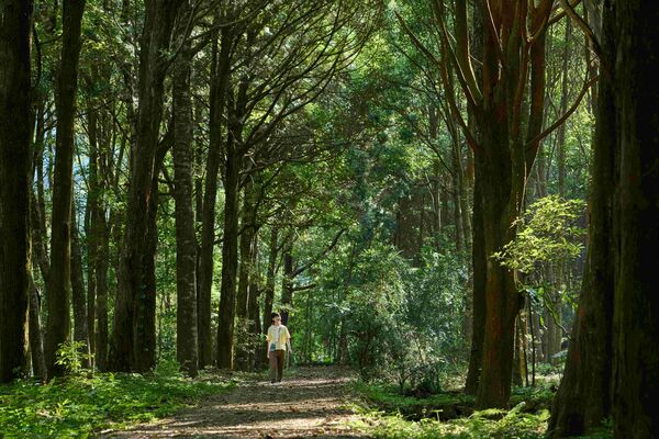 ▲虹夕諾雅谷關將於4月9日至9月19日推出全新「數位排毒：喚醒感官之旅」三天兩夜住宿專案。（圖／業者提供）