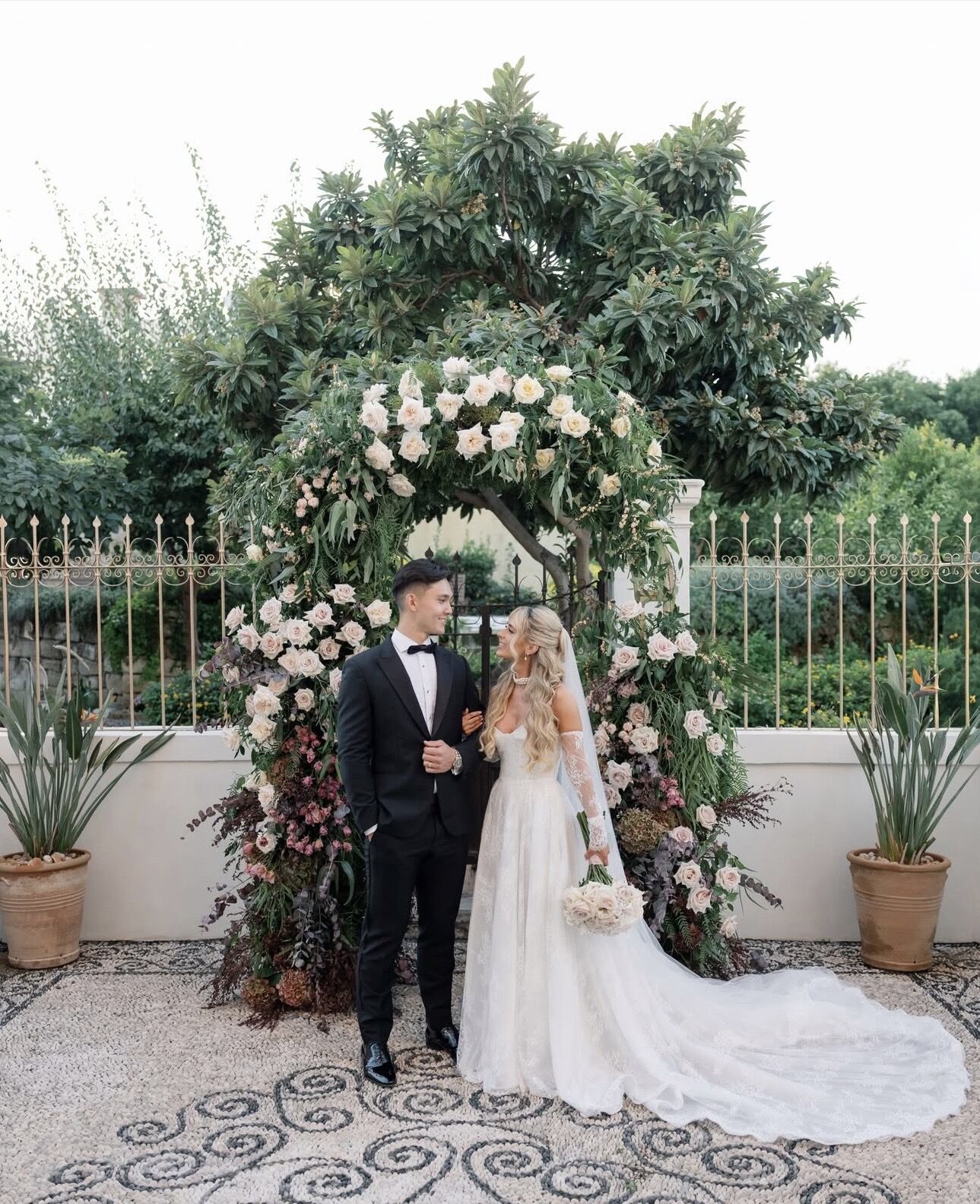 ▲▼ 費仔            。（圖／IG）