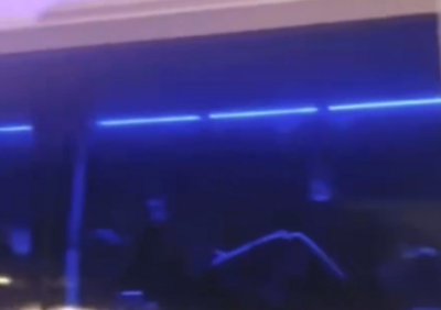 伊朗女足比救命手勢影片曝　川普籲澳洲庇護：否則是嚴重人道錯誤