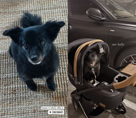 費仔妻子熱愛中華隊吉祥物「歐告」的原因。（圖／翻攝自IG@hannafairchi）