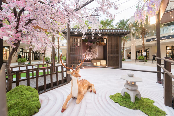 ▲MITSUI OUTLET PARK林口即日起換上浪漫花造景。（圖／MITSUI OUTLET PARK林口提供）