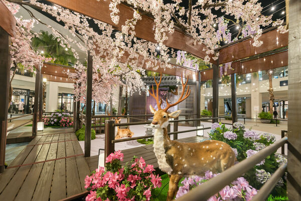 ▲MITSUI OUTLET PARK林口即日起換上浪漫花造景。（圖／MITSUI OUTLET PARK林口提供）