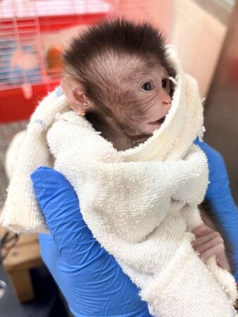 ▲。（圖／Shou Shan Zoo 壽山動物園提供）