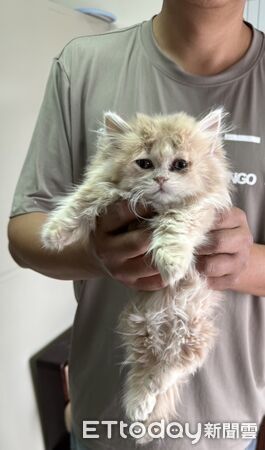 ▲▼金門尚義機今日查獲一起夾帶活體動物闖關案件，全案依違反動物傳染病防治條例移送福建金門地方檢察署偵辦。(圖／航空警察局臺北分局金門分駐所提供)