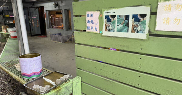 業者涉嫌非法展演動物致兔大量死亡，新北市動保處依法裁罰並移送地檢署偵辦。（圖／新北市動保處提供）