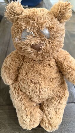 大谷愛犬拆爆熊熊玩偶。（圖／翻攝自IG@Shoheiohtani）