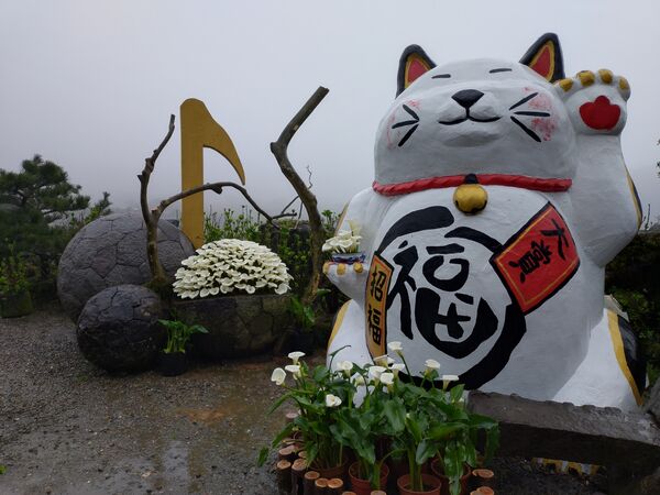 ▲2026竹子湖海芋季3月14日登場，今年以「花田樂章」為主題，將整片花田化作由自然指揮的戶外舞台。（圖／台北市農會提供）