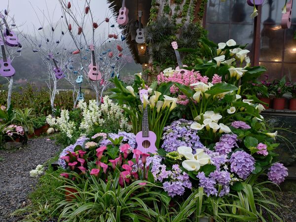 ▲2026竹子湖海芋季3月14日登場，今年以「花田樂章」為主題，將整片花田化作由自然指揮的戶外舞台。（圖／台北市農會提供）