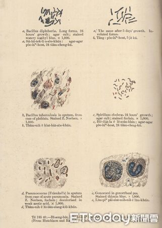 ▲1868年出版的《大學工尺譜詩調課本》，以台灣傳統工尺譜記錄西方聖詩，被視為早期宗教文化在地化的重要見證。（記者林東良翻攝，下同）