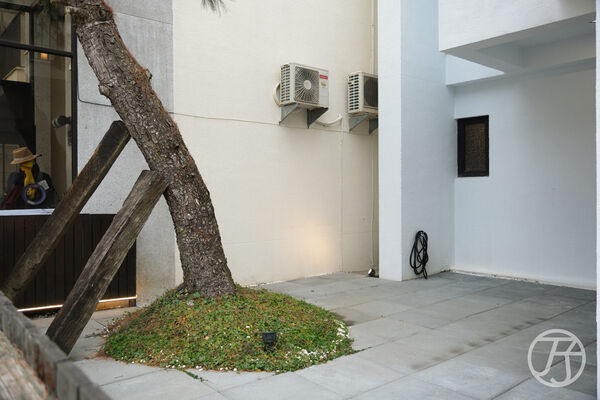 ▲▼森33-3行旅。（圖／JJ.Hsu授權提供）