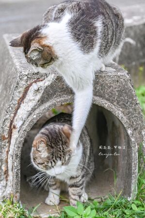▲▼南之濱町綠地公園。（圖／周花花授權提供）