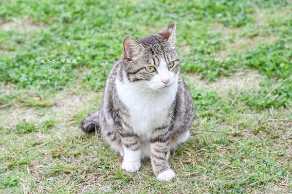 ▲▼南之濱町綠地公園。（圖／周花花授權提供）